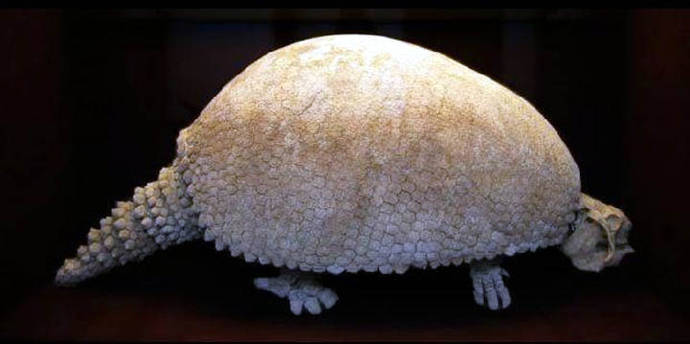 Representación de un gliptodonte