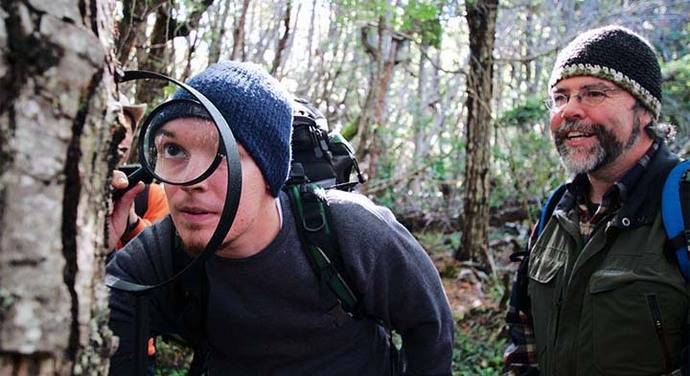 Ecoturismo con lupa para ver los bosques en miniatura de Cabo de Hornos, Chile