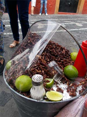 Comiendo en México