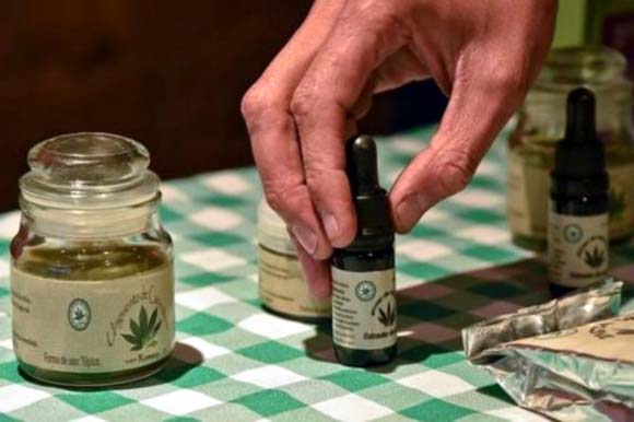 El Parlamento alemán legaliza cannabis para uso terapéutico