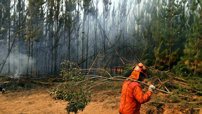 Incendios forestales consumen casi 90.000 hectáreas en Chile