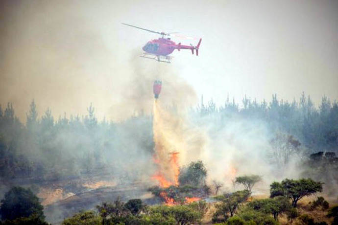 “Esto es peor que un terremoto': campesinos víctimas de incendios en Chile