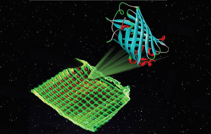 Ilustración de un filtro de color con proteínas luminiscentes verdes y rojas impreso en una microestructura de malla / Katharina Weber