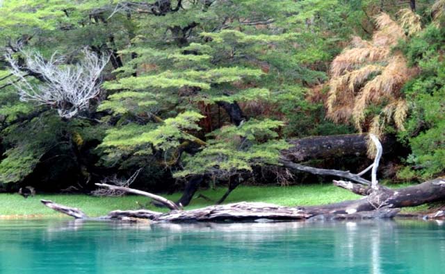 Parque Nacional Los Alerces