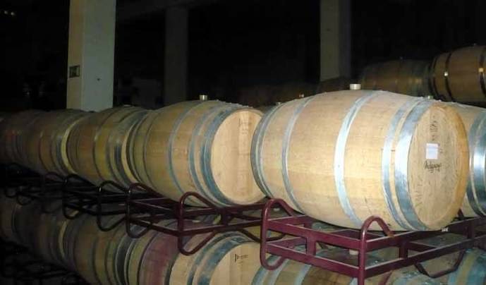 La Leyenda del Páramo, bodega de vino ecológico, al rescate de la Prieto Picuda 