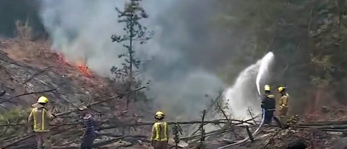 Bomberos chilenos en tareas de extinción