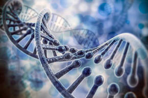 Una nueva maquinaria de reparación de errores en el ADN