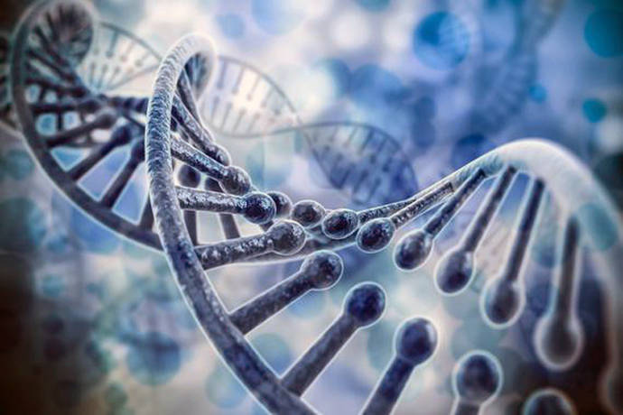 Hemos descubierto que algunas bacterias y arqueobacterias presentan un sistema de corrección diferente, en el cual la encargada de detectar y resolver este tipo de errores en el ADN es una proteína llamada NucS / Fotolia 