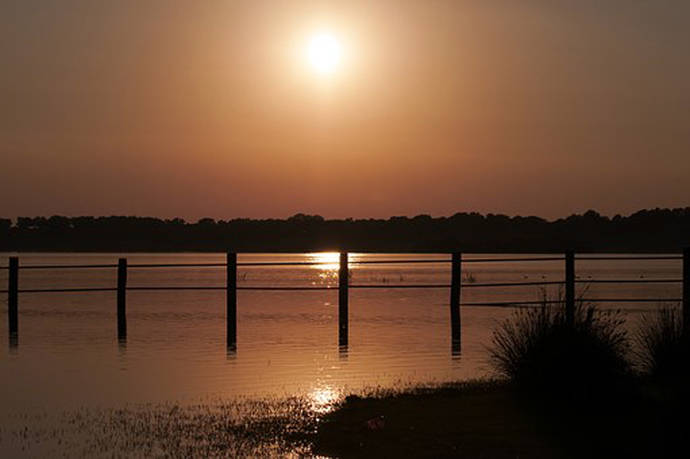 Atardecer en el Parque Nacional y Natural de Doñana