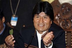 Bolivia promulga controvertida ley que amplía cultivos de coca