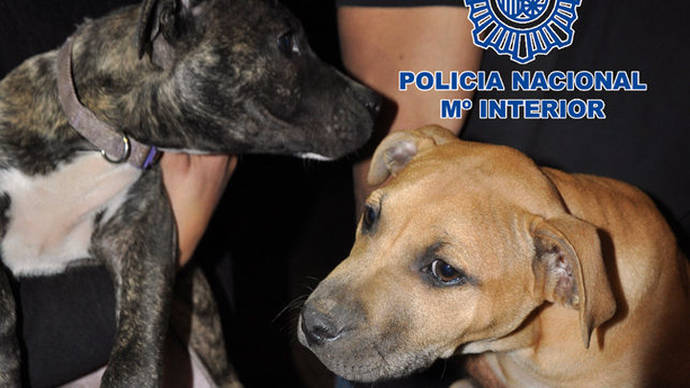 Dos de los perros rescatados por los agentes