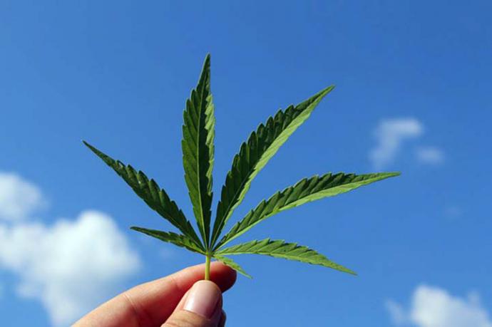 ¿Sabes cuál es la forma más saludable y barata de consumir cannabis?