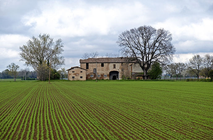 Paisaje de la llanura padana de Módena. Foto©Pedro Grifol