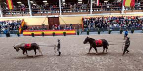 Cantabria: La Yeguada Militar de Ibio anuncia Jornada de Puertas Abiertas para el día 5 de junio