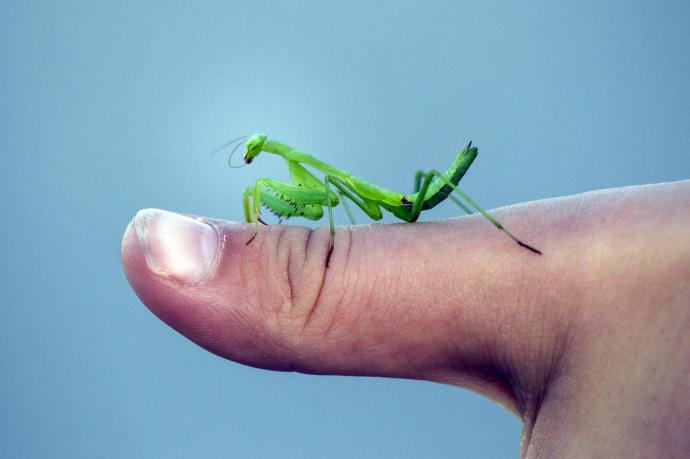 Información para entender y defender la naturaleza