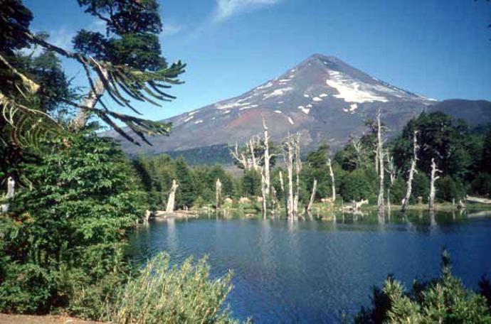 Parques Conguillío y Nahuelbuta serán prioridad para potenciar el turismo en La Araucanía