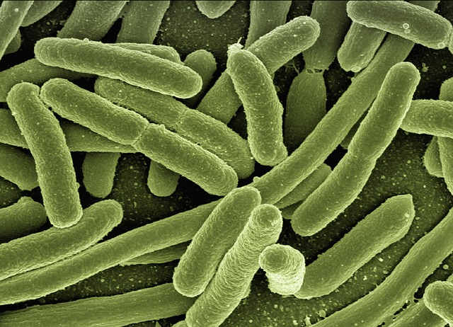 Cómo evitar que 421.000 bacterias diferentes entren en casa cada día