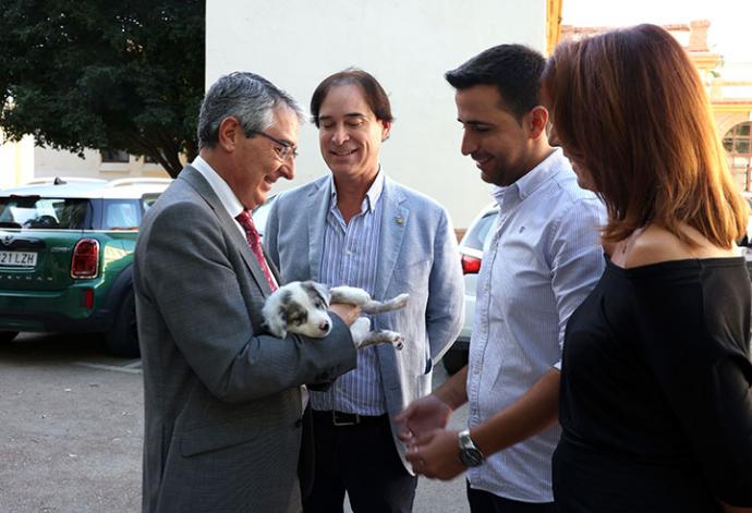 La Diputación activa un plan pionero en Andalucía para que personas mayores adopten mascotas y mejoren su bienestar físico y emocional