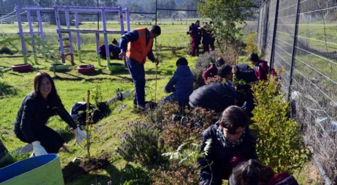 Lollapalooza Chile y Agencia de Sustentabilidad y Cambio Climático lanzan campaña de reforestación