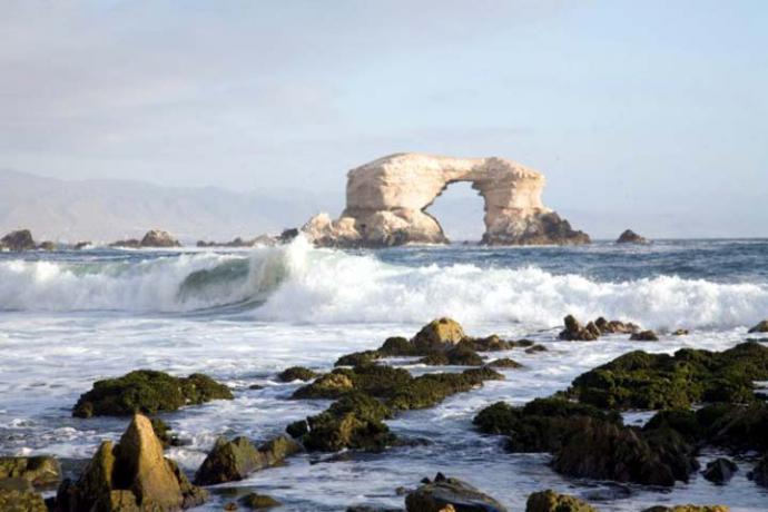 Antofagasta con otros ojos: 10 imperdibles que visitar