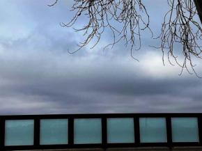 Febrero con niebla en la llanura, la luz pugna por alumbrar el día. (Foto Antonieta García de León)