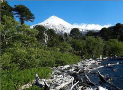 Rutas Ancestrales Araucarias recibió premio TO DO 2021 en la ITB de Berlín