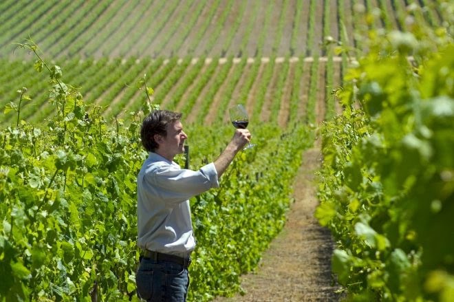 Con variadas actividades la Región de Valparaíso celebrará el Día del Vino en Chile