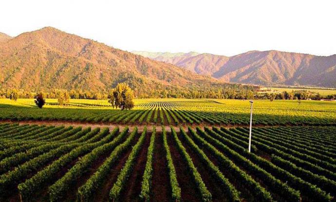 Con variadas actividades la Región de Valparaíso celebrará el Día del Vino en Chile