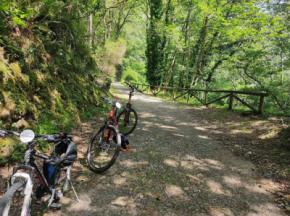 Las excursiones en bicicleta 