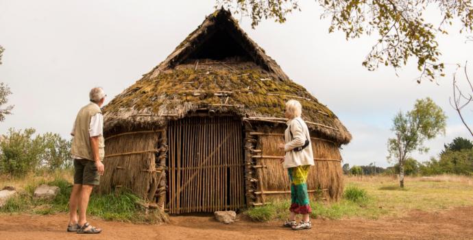 Conadi destinó 2mil 500 millones para reactivar emprendimientos mapuches