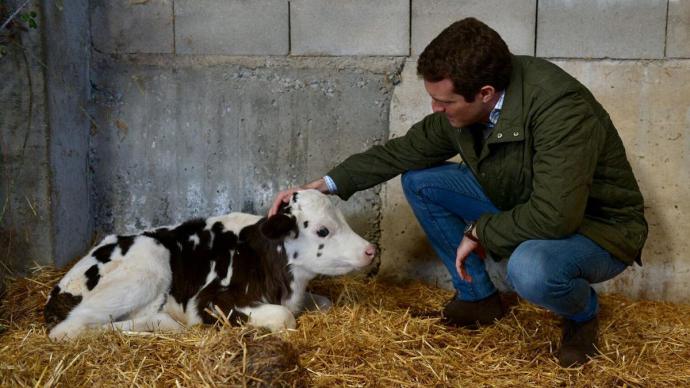 Pablo Casado, durante la precampaña de las elecciones de abril de 2019, en Las Navas del Marqués (Ávila). PP