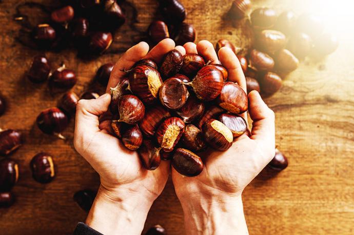 Las castañas, mucho más que un alimento saludable