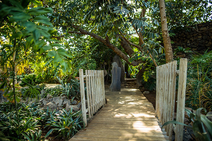 El Ayuntamiento de Santa Cruz de Tenerife estrena nueva Ruta Etnobotánica en el Palmetum (Jardín Botánico)