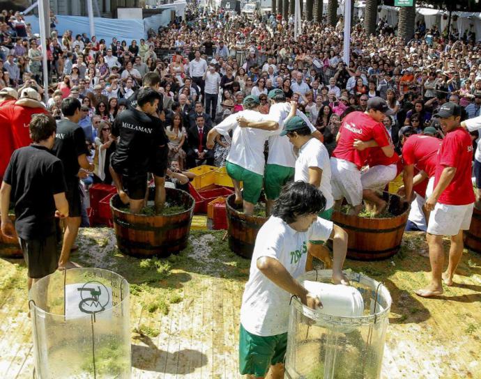 Guía con todas las fiestas de la vendimia 2019 a lo largo de Chile