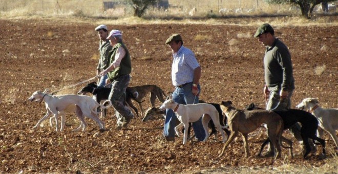 El TSJ se reafirma y paraliza también la Orden de Caza en Castilla y León