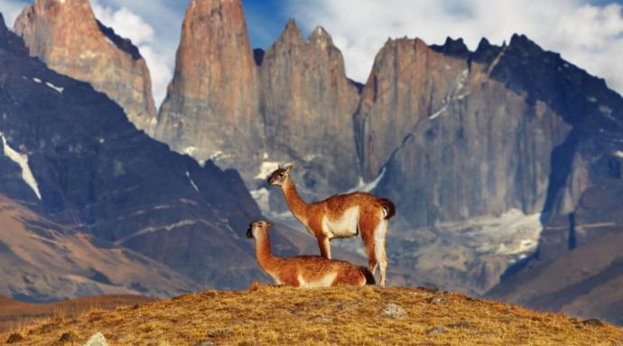 Torres del Paine busca convertirse en el primer destino ”Covid Free” de Chile