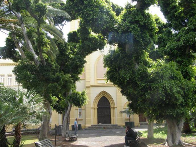 Rehabilitarán Parque Viera y Clavijo en Santa Ctruz de Tenerife