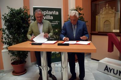 El Ayuntamiento presenta Replanta Sevilla 2.0, una plataforma para impulsar la reforestación urbana