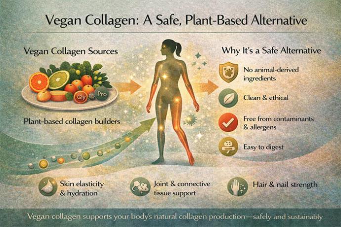 Vegan Collagen: A Clean Protein Alternative For Athletes