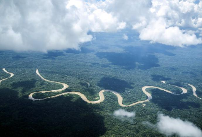 Amazonia (Imagen de Walker Vizcarra)