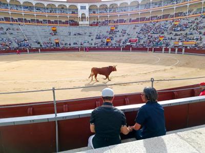 Las Ventas: casi vacía a tres días antes del comienzo de la feria taurina de Madrid