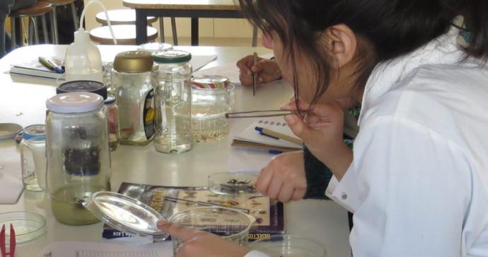 Región de Coquimbo, Chile, celebra Semana Nacional de la Ciencia y Tecnología
 