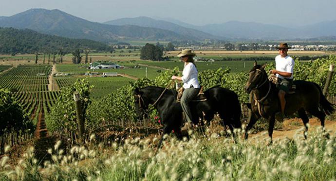 Tour Operadores internacionales descubren las maravillas de Chile