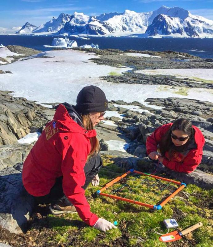 El verano austral con mayor cantidad de investigadores en la historia antártica