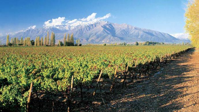 Chile busca seducir con experiencias enoturísticas, de nieve y naturaleza al mercado de lujo latinoamericano