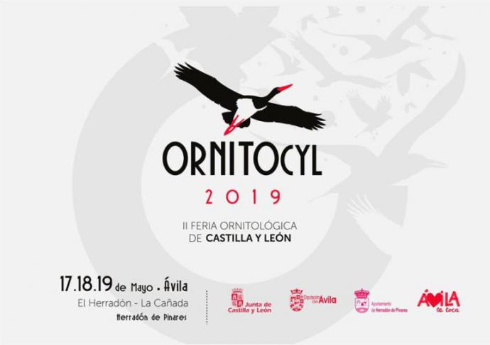 La segunda edición de Ornitocyl se celebrará en mayo de 2019 en El Herradón de Pinares