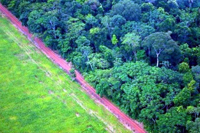 Paisaje cerca de Río Branco, en la Amazonía, donde cerca del 20% del ecosistema ha sido talado o destruido en los últimos 40 años. Cortesía Conservación Internacional