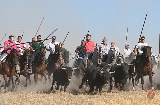 El Toro de La Vega (imagen de archivo)