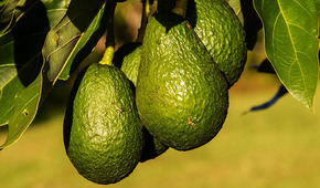 (Crédito foto: pixabay.com - imagen de referencia)