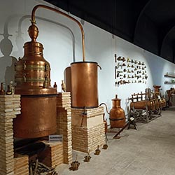 Museo del Vino de Jumilla